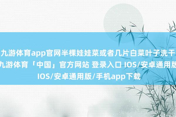 九游体育app官网半棵娃娃菜或者几片白菜叶子洗干净后切开待用-九游体育「中国」官方网站 登录入口 IOS/安卓通用版/手机app下载