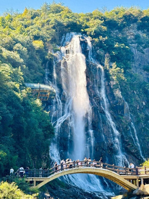 九游体育app(中国)官方网站嗅觉我方像是走进了一个绿色的童话天下-九游体育「中国」官方网站 登录入口 IOS/安卓通用版/手机app下载